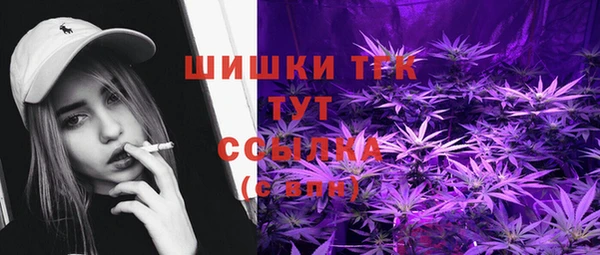 хмурый Михайловск