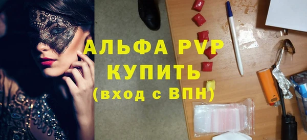 хмурый Михайловск