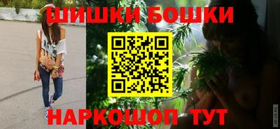 гашик Камышлов