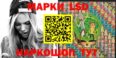 гашик Камышлов