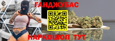 гашик Камышлов