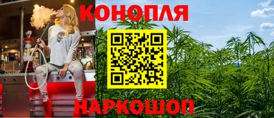 гашик Камышлов