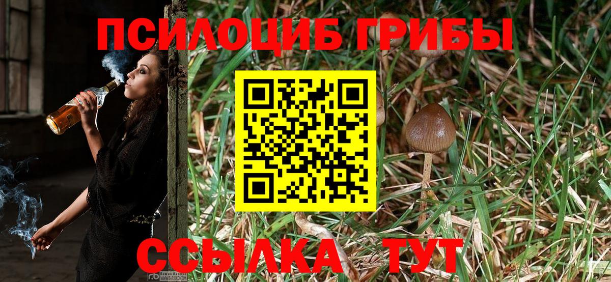 Партизанск  купить наркотики цена  Вход с VPN  Псилоцибиновые грибы MAGIC MUSHROOMS  Псилоцибиновые грибы прущие грибы 