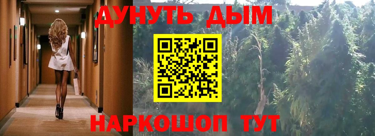 Марихуана сатива  Бошки Шишки OG Kush  Партизанск  Вход с VPN  Бошки марихуана OG Kush 